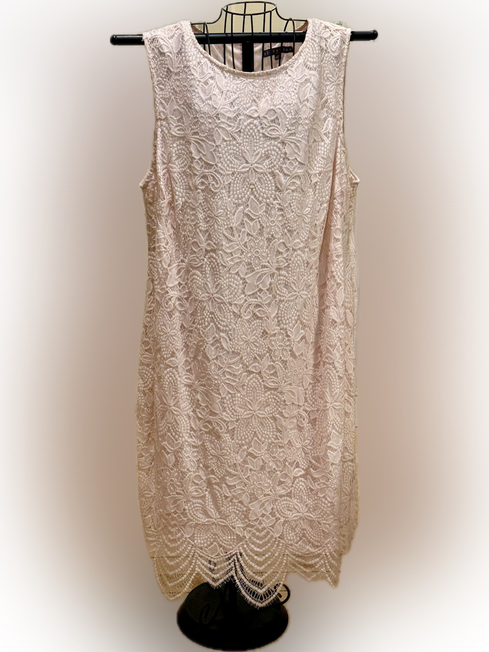 Sharagano Sleeveless Lace Midi Dress in pale pink